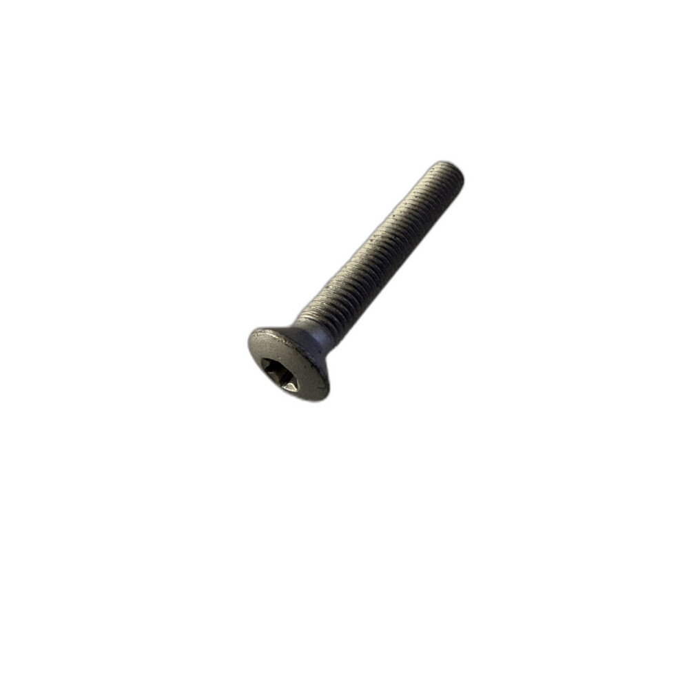 M8 Torx Countersunk Screw for Side Door Hinges BYG500070